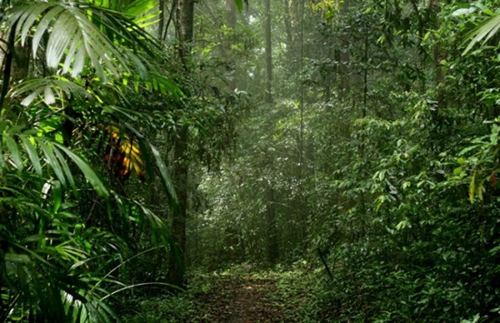 Agumbe, the Cherrapunji of South India, is More than a Typical Monsoon Destination for Romance