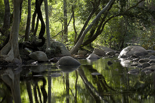 Best Places to Visit in Munnar for Soulful Sightseeing and Beautiful Photography