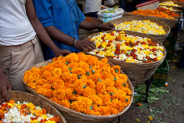 Visit 7 Flower Markets in India where Beauty of Nature is Merchandise for Sale