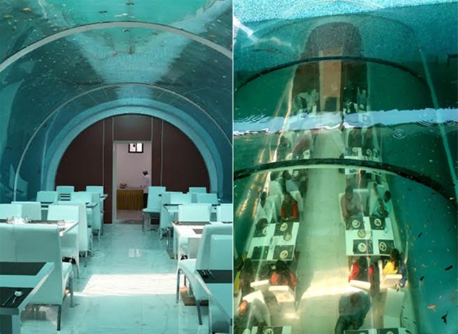 India’s First Underwater Restaurant in Ahmedabad Serves Food 20 Feet below Ground Level