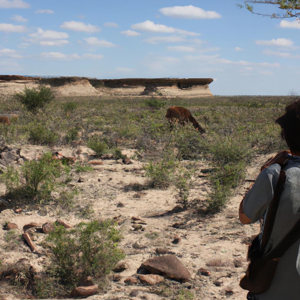 Person observing wildlife in Chaco